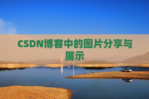 CSDN博客中的图片分享与展示